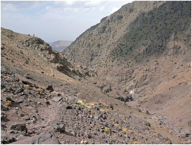 519 Jebel Toubkal